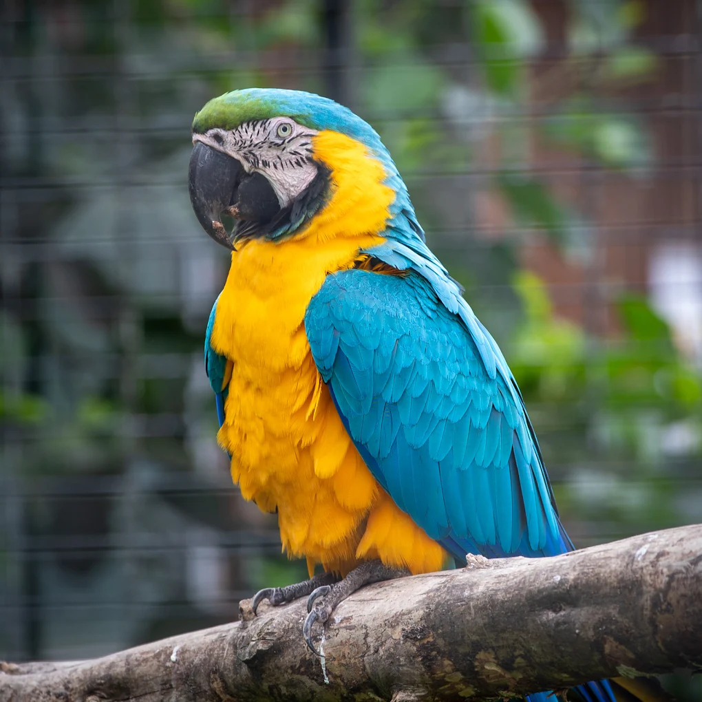 Gæstebillede fra Munkholm Zoo