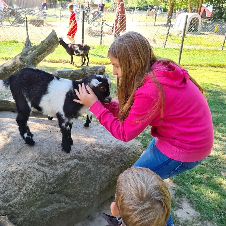 Gæstebillede fra Munkholm Zoo