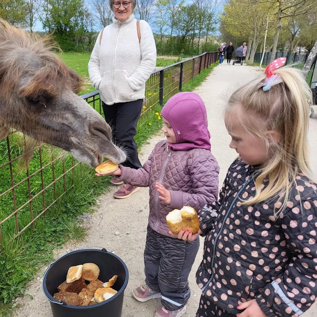 Gæstebillede fra Munkholm Zoo