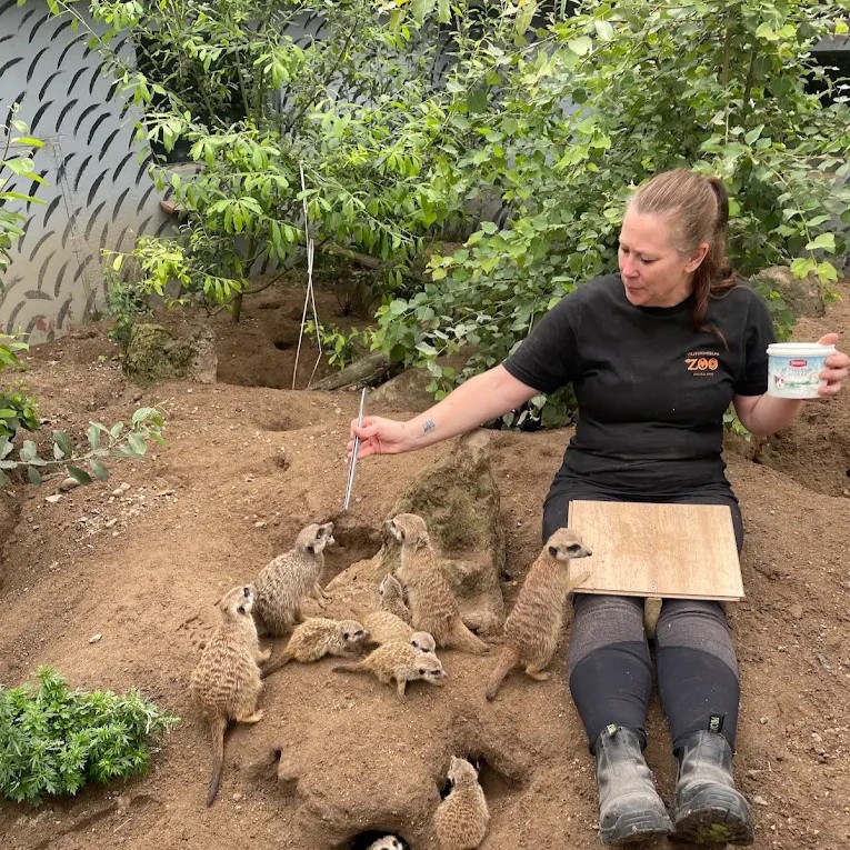 Gæstebillede fra Munkholm Zoo