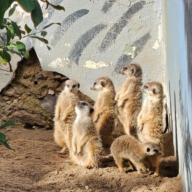 Gæstebillede fra Munkholm Zoo