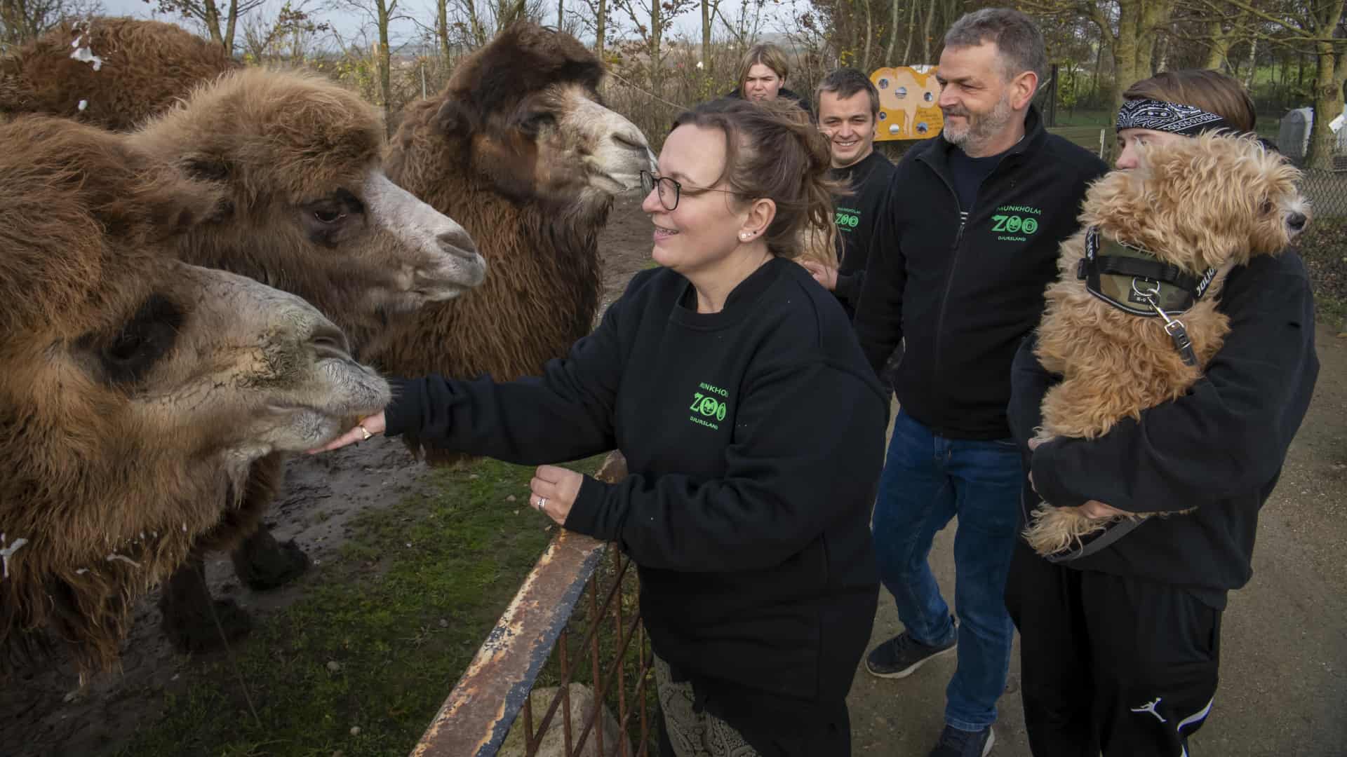 Munkholm Zoo - Familie med kameler